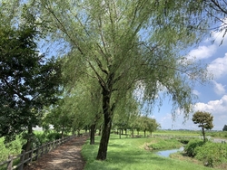 “田川“と並行...
