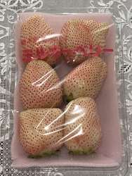 大きなミルキー...