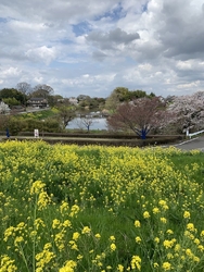 現地の説明板に...