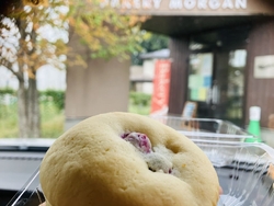 すっかりお気に...