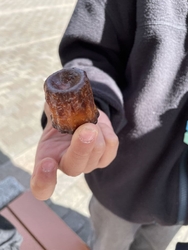 久しぶりにクロ...