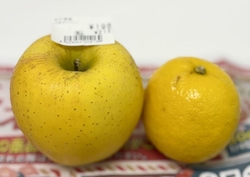 新春初売りセー...