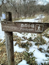 150っと周遊...