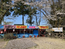 お花見に行って...