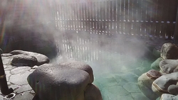 日帰り温泉の利...