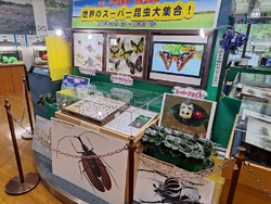 子どもと、秋の...