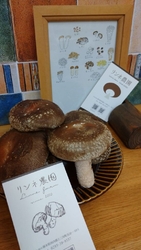 食事をしたお店...