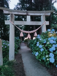 夜の提灯は風情...