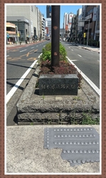 サーフさんがこ...