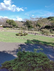 道の駅なのに、...