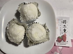 今季初の羽二重...