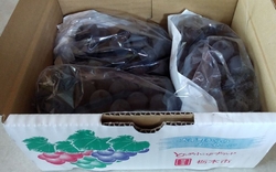 栃木市内の親類...