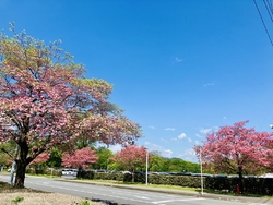 通りかかったら...