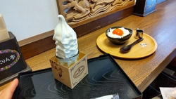 有名な日光プリ...
