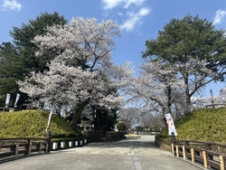 栃ナビサイトで...