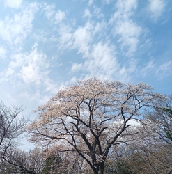 公園内を散策し...