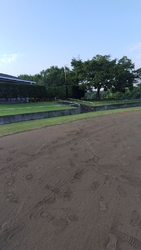 近くに体育館が...