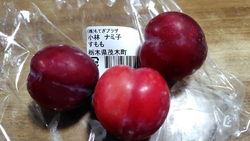 すもも大好きな...