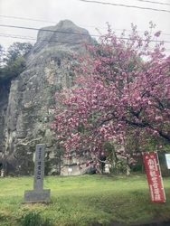 この日は雨だっ...