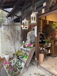 庭の鉢植を枯ら...