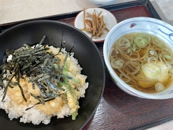 ランチで伺いま...