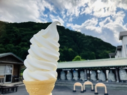 こちらのお豆腐...