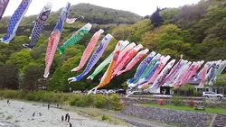 こんなに沢山の...