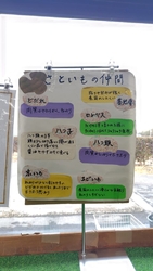 農産物のポップ...