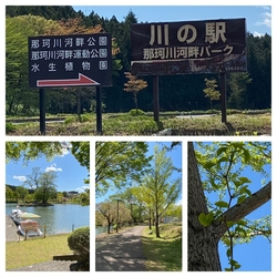 4号線から八重...