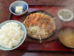 お肉が２倍のダ...
