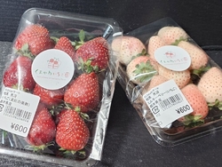 那須に行くと必...