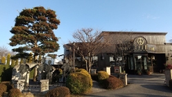 ブルーベリーパ...
