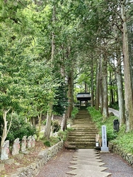 大雄寺の参道を...