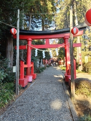 今年の初詣もこ...