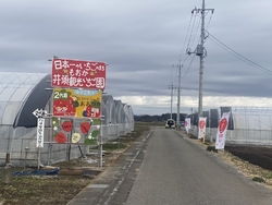 今日から井頭観...