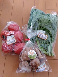 東側の入口から...