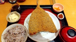 大きなアジフラ...