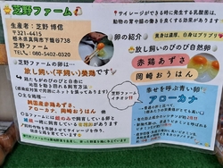 たまたまいつも...