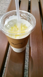 季節のヨーグル...