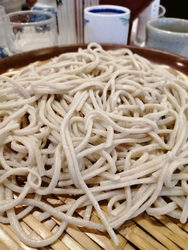 今日は孫の運動...