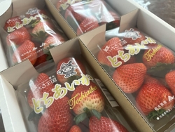 とちあいかをい...