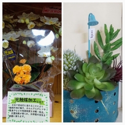 店内に入ると数...