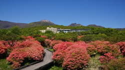 5月とは思えな...