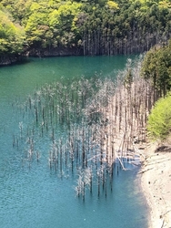 湯西川ダムによ...