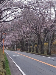 大好きなこちら...