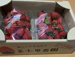 体の半分がイチ...