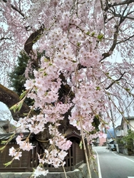 3日前に高田さ...