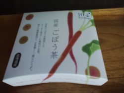頂き物のゴボウ...