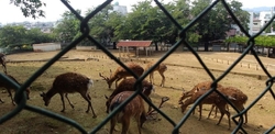 楽しそうな公園...
