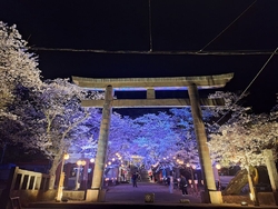 鬼怒川温泉夜桜...